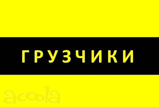 Грузоперевозки. Грузчики. Вывоз мусора. Демонтаж.